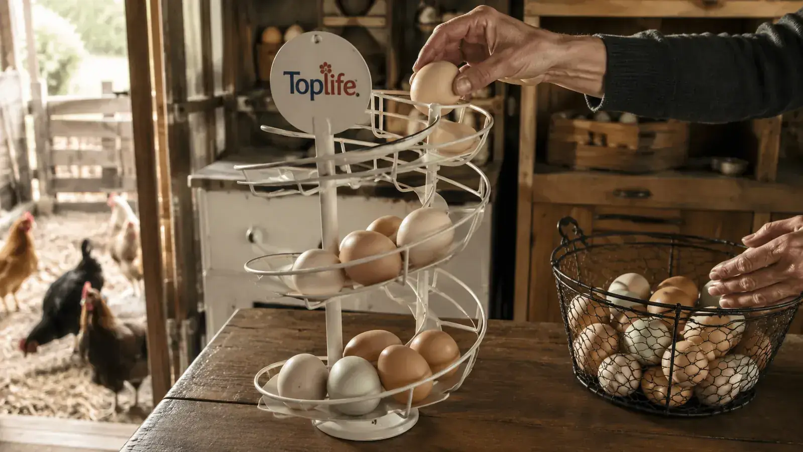 A hand placing fresh eggs from a wire basket into the top of the spiral egg skelter on the counter