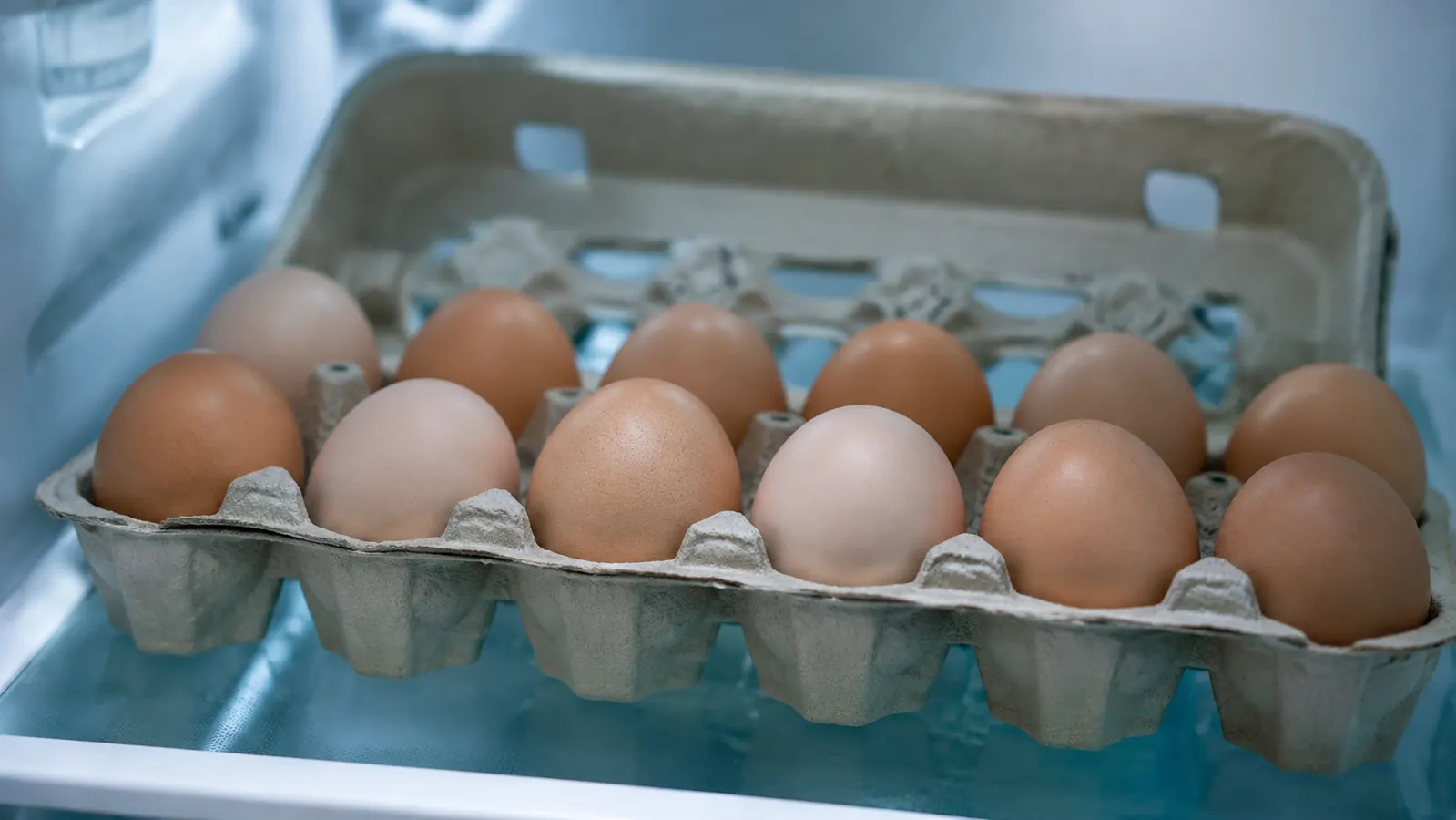An open cardboard egg carton holding brown and cream eggs sitting on a refrigerator shelf with dim cool light